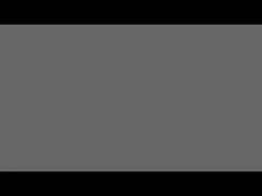 NEMA 17 Lineaire stappenmotor met encoder: Hoog-precisie lineaire beweging voor geavanceerde automatisering