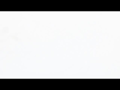 NEMA 8 Pushrod Stepper Motor Precise Linear Push in een compact pakket