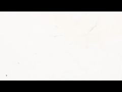 NEMA 17 Captive Linear Stepper Motor Encoder - uitgerust voor ongeëvenaarde lineaire besturing